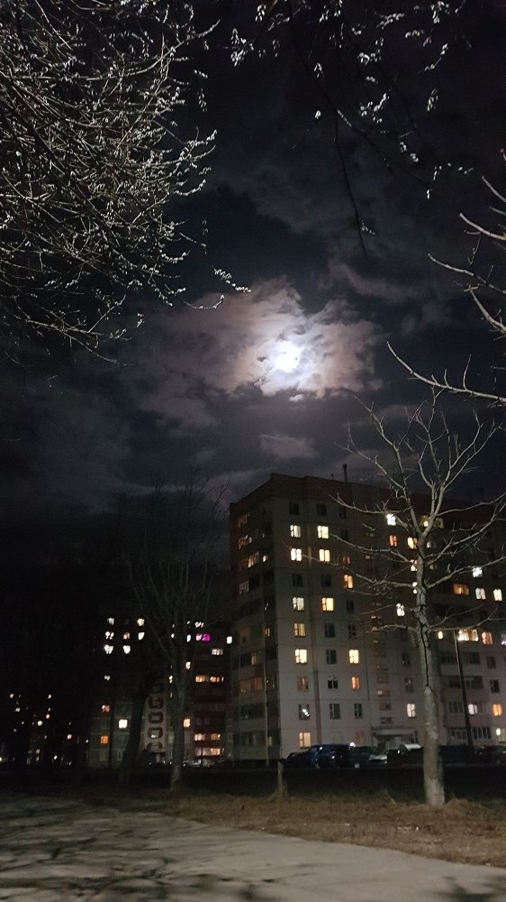 Photograph by Людмила Орловская