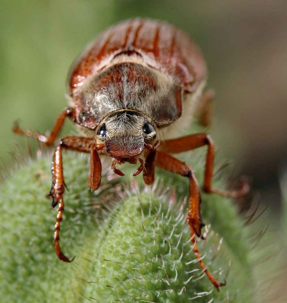 Photograph by Игорь Осипов