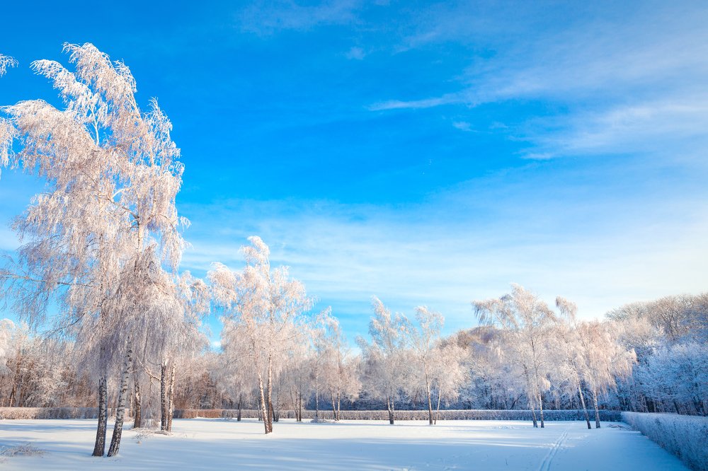 Ставрополь зимой