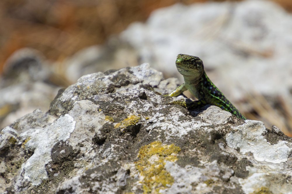 Photograph by Rouslan Chernyshev