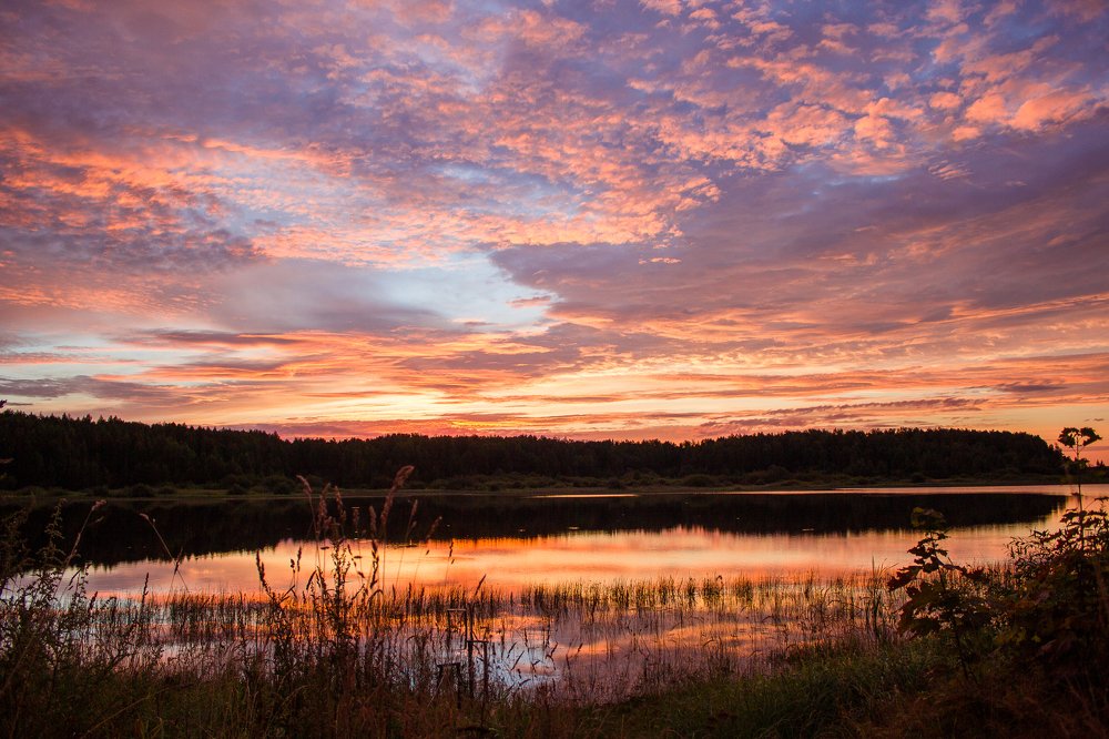 Photograph by Анна Кесарева