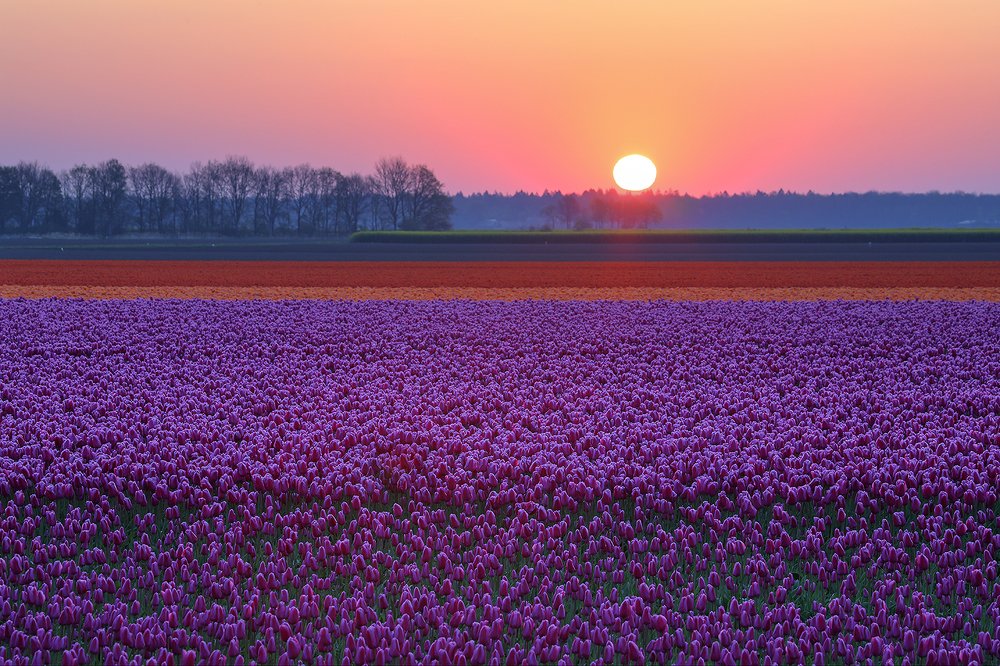 Голландия рассветная