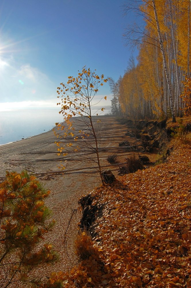 Осеннее утро