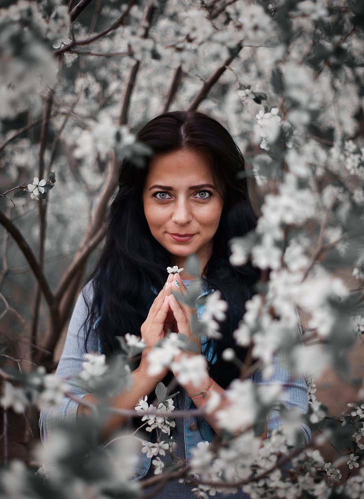 цветение вишни