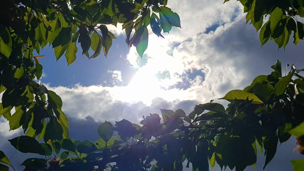 Sunrise and sunset