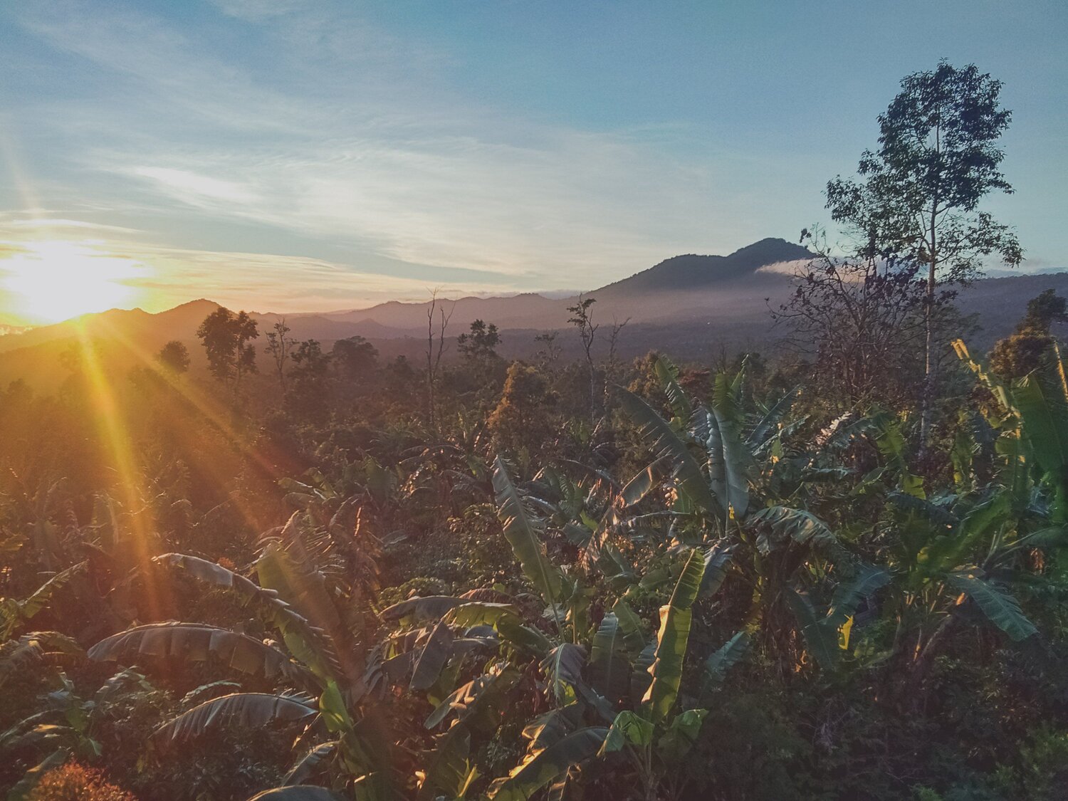 Sunrise from the mountain