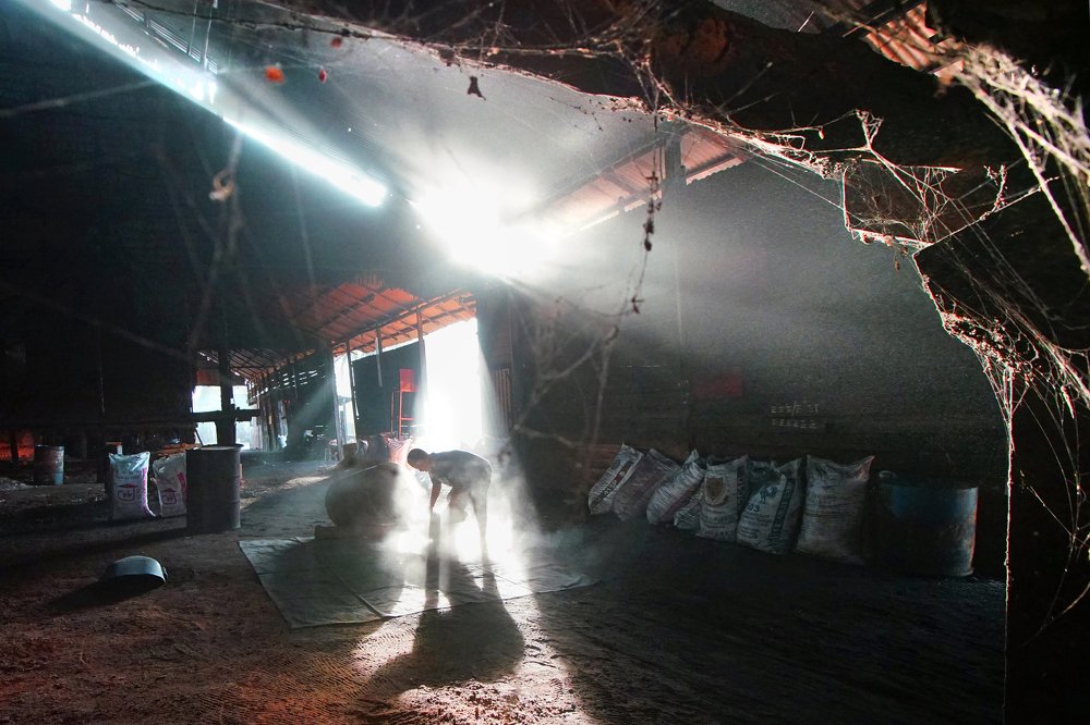filtering powder of charcoal