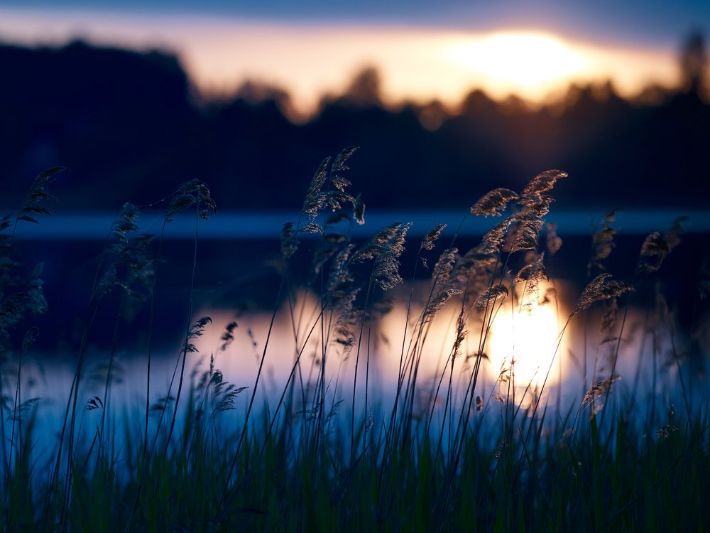 с субботы на воскресенье