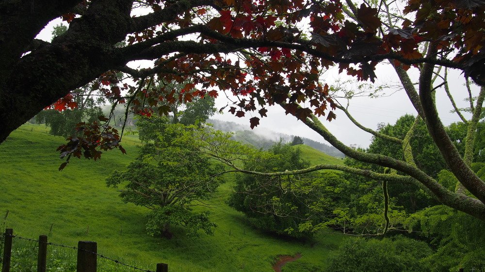 Seconds after morning drizzle...