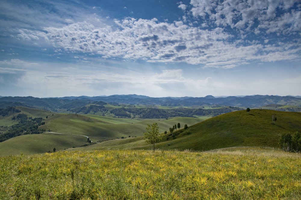 Под небом голубым