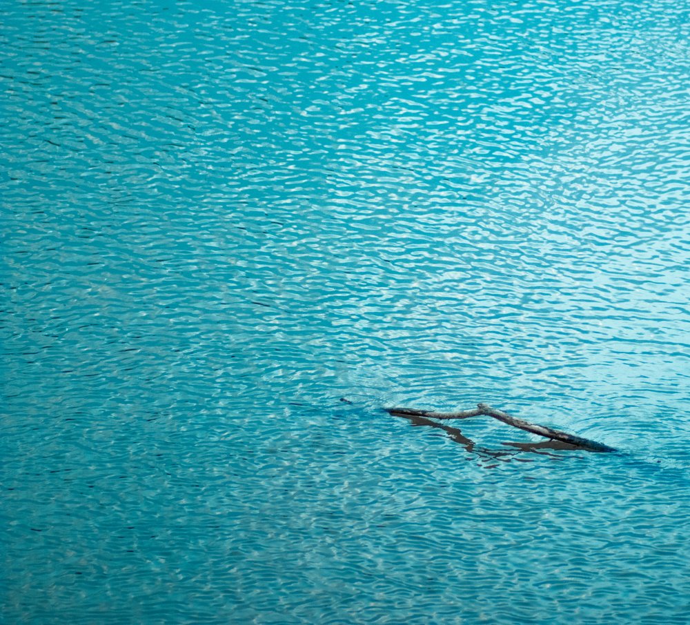 Photograph by Максим Митченко