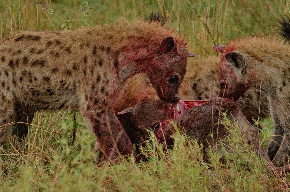 Photograph by Lev Prilutsky