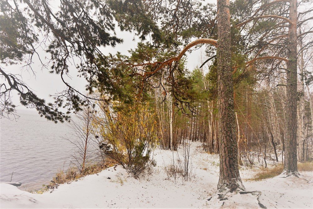 Photograph by Алия Байсыкова