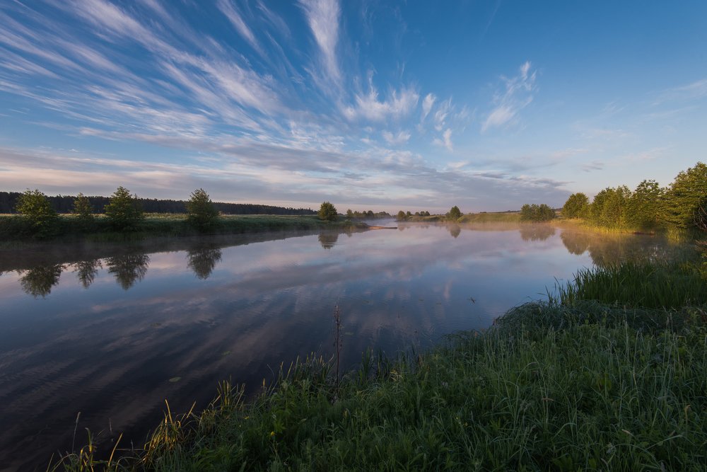 Июньское утро на речке Буянке.