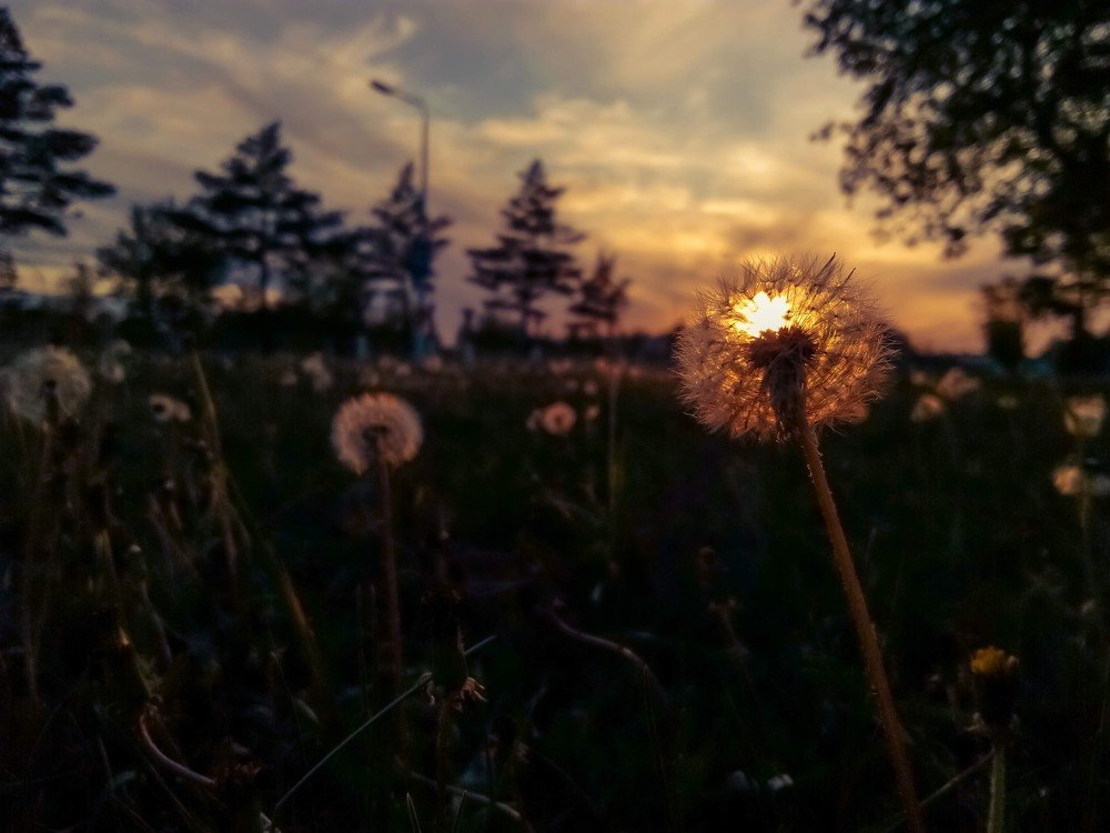 Photograph by Владислав Богаткин