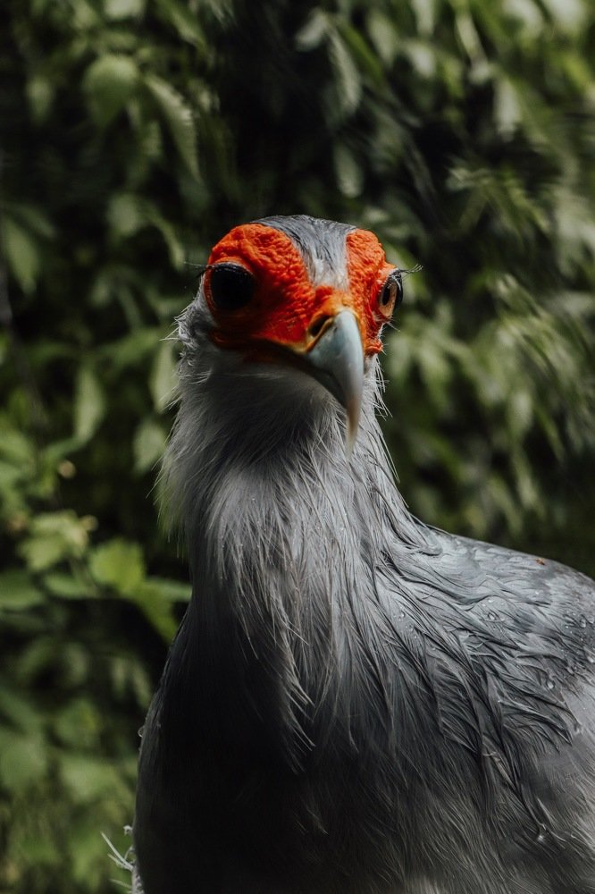 Photograph by Екатерина