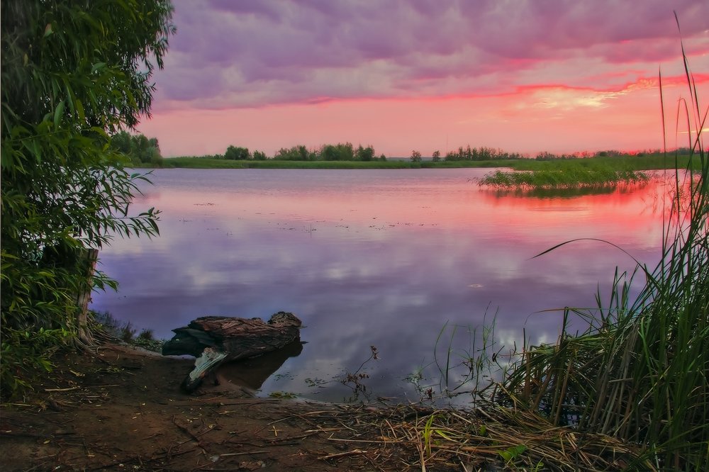 Утренняя тишина