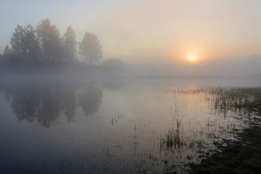 пробуждение
