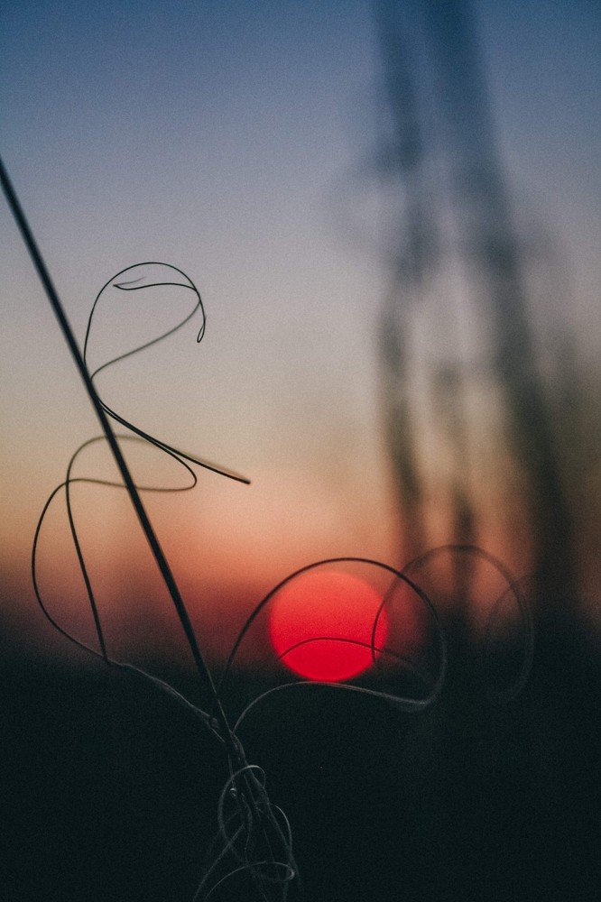 Photograph by Владислав Богаткин