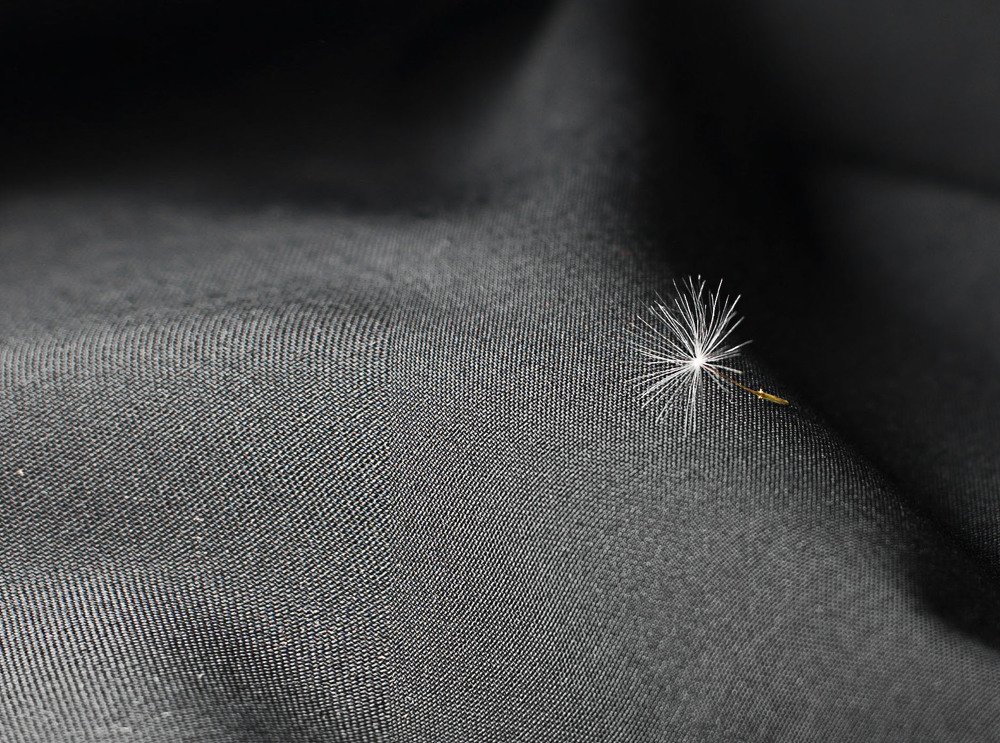 волосок одуванчика)