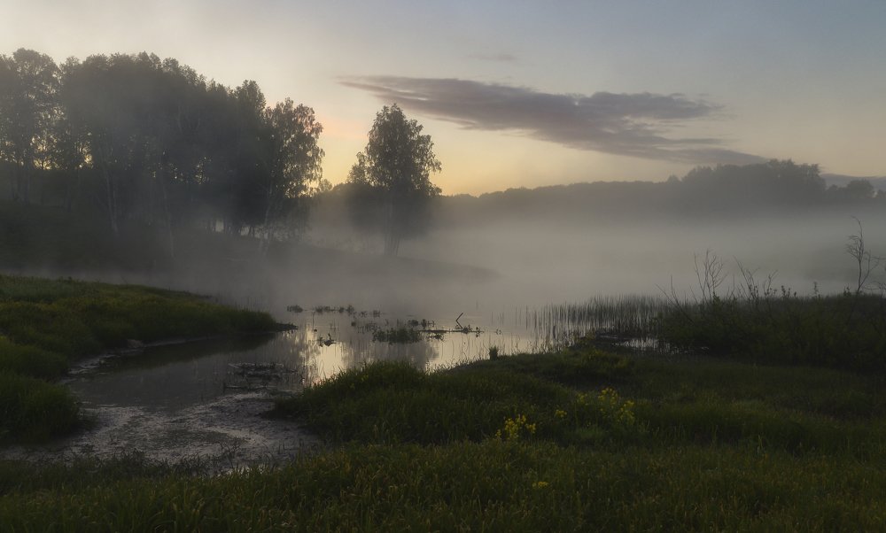 на бобровом пруду