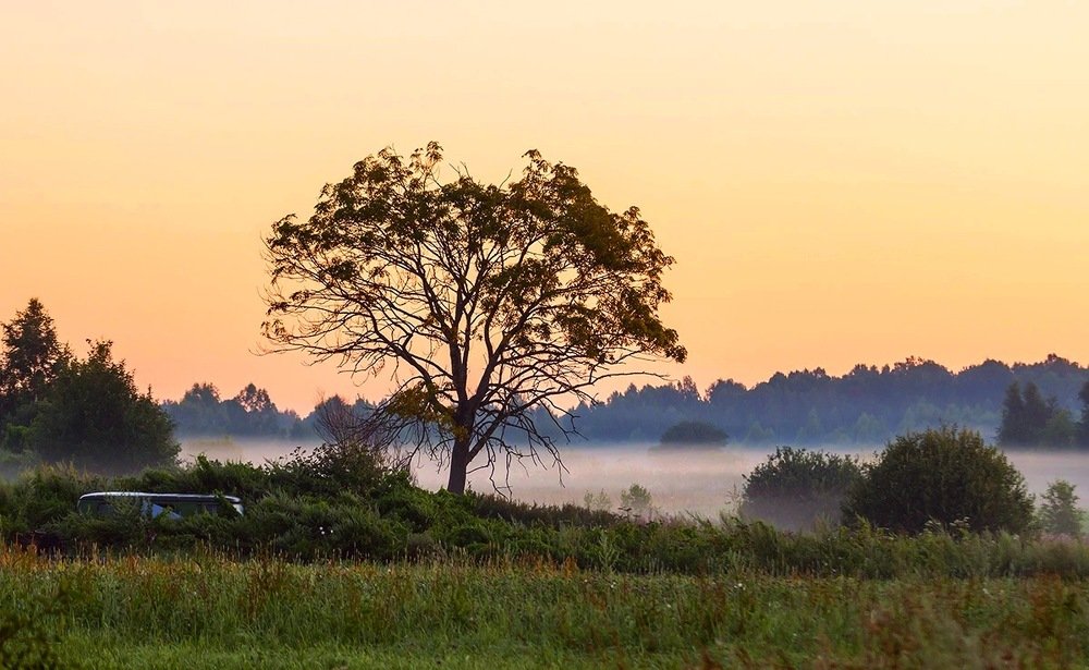 Предрассветная