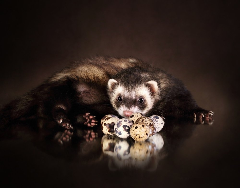 Трудный выбор