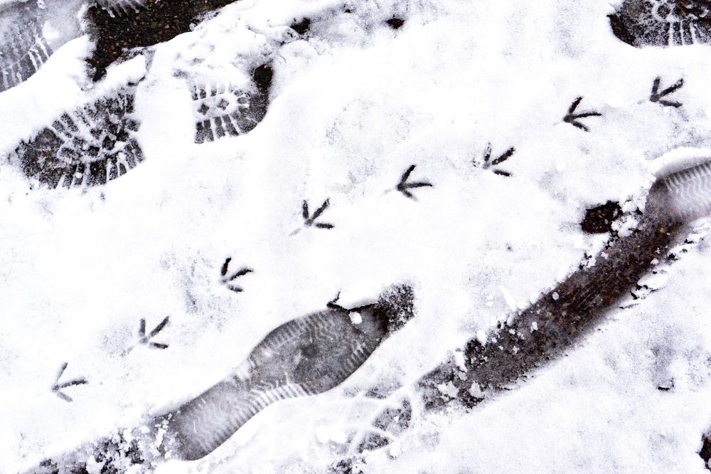 Photograph by Щербакова Галина