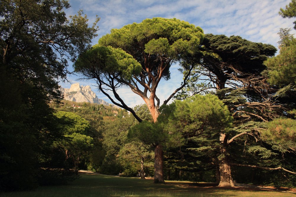 Природа Крыма