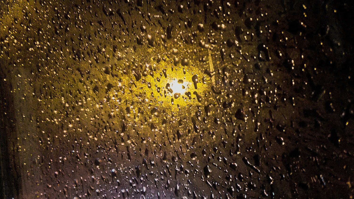 Late night rainy ride