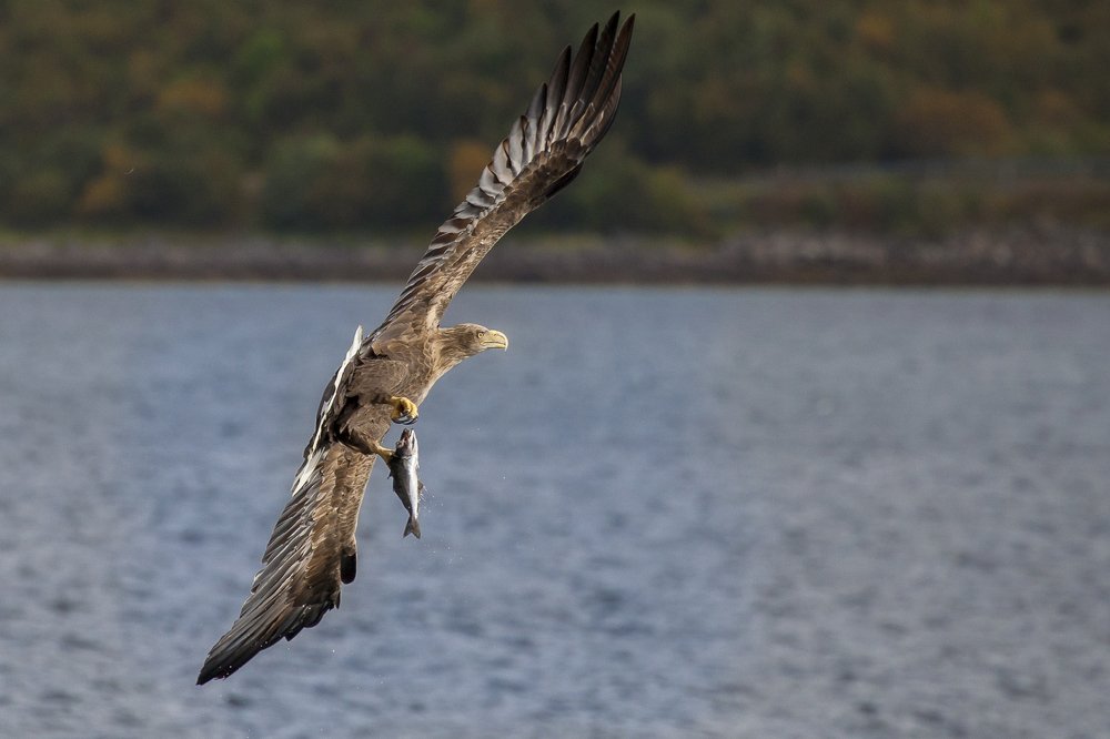 Photograph by Геннадий