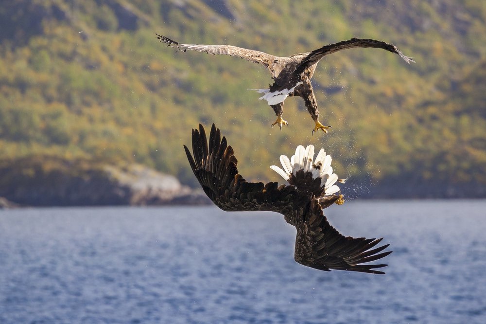 Photograph by Геннадий