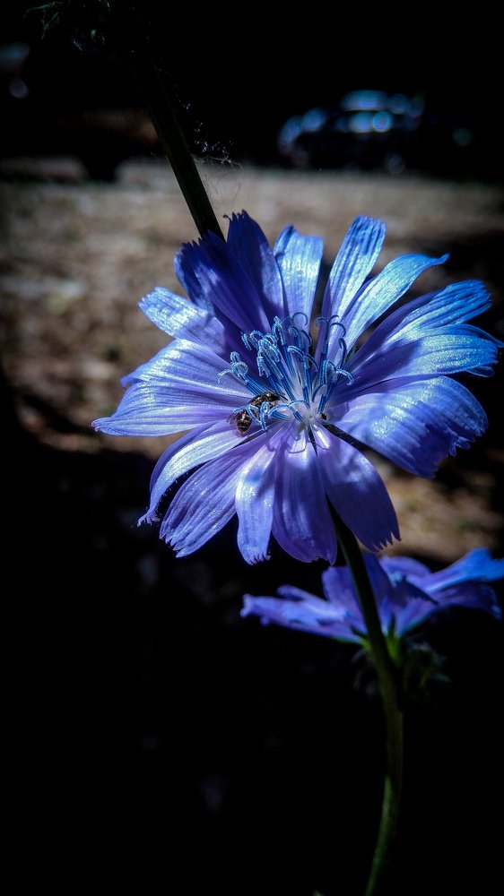 Photograph by Руслан Круглов