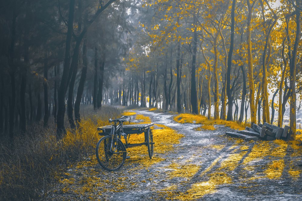 Photograph by  khan avi