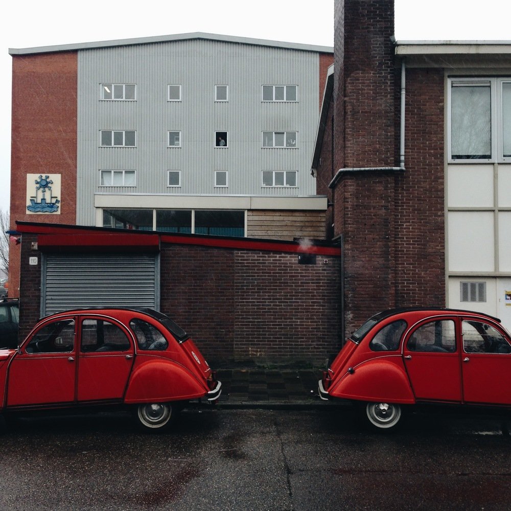 Красные жуки