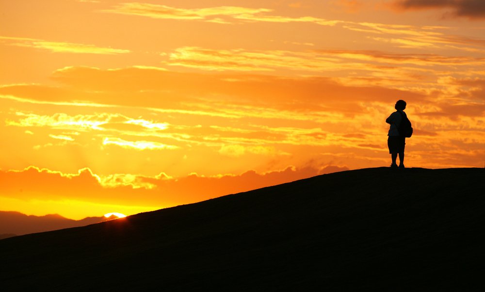 Своя Звезда