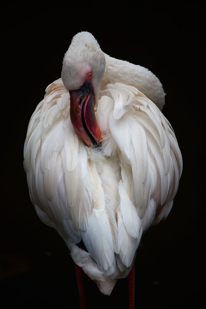 Photograph by Сергей Маранчук