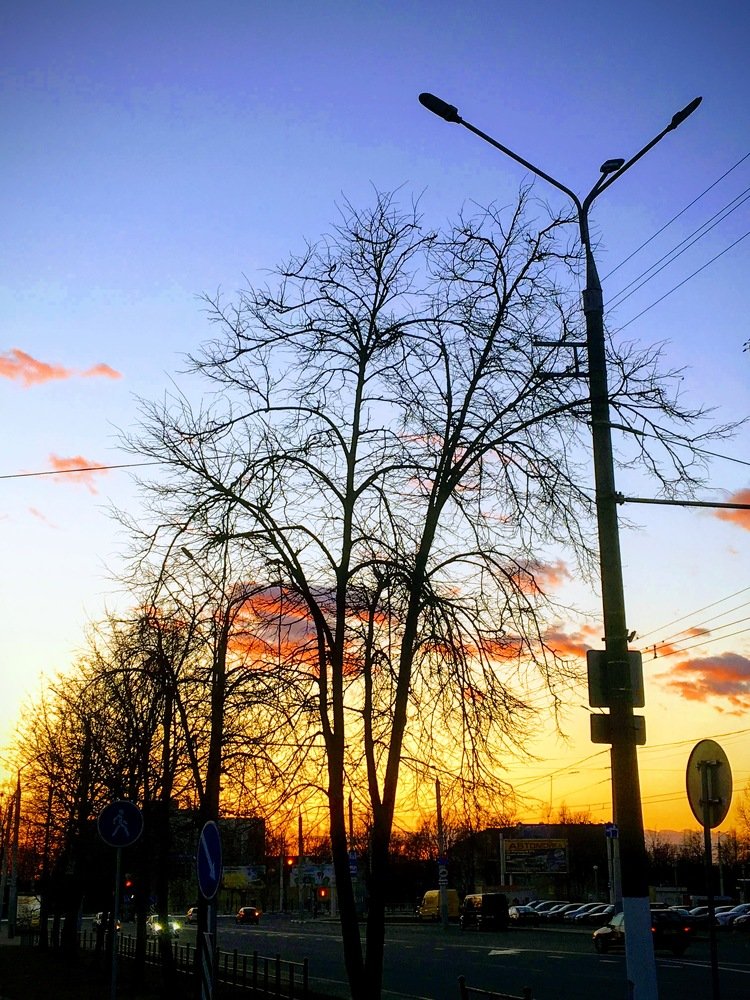 Photograph by Виктория Жуковская