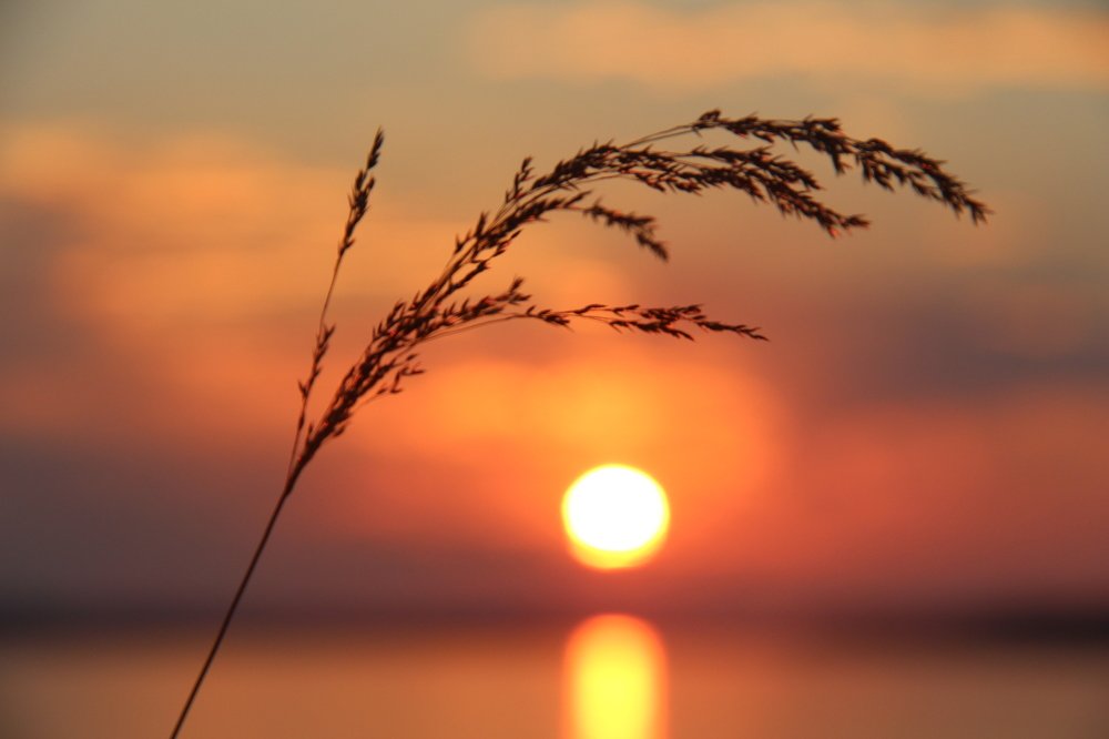 солнце садится