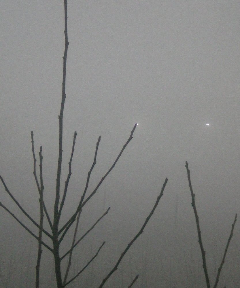 Photograph by ВИТАЛИЙ ФЕДОРЕНКО