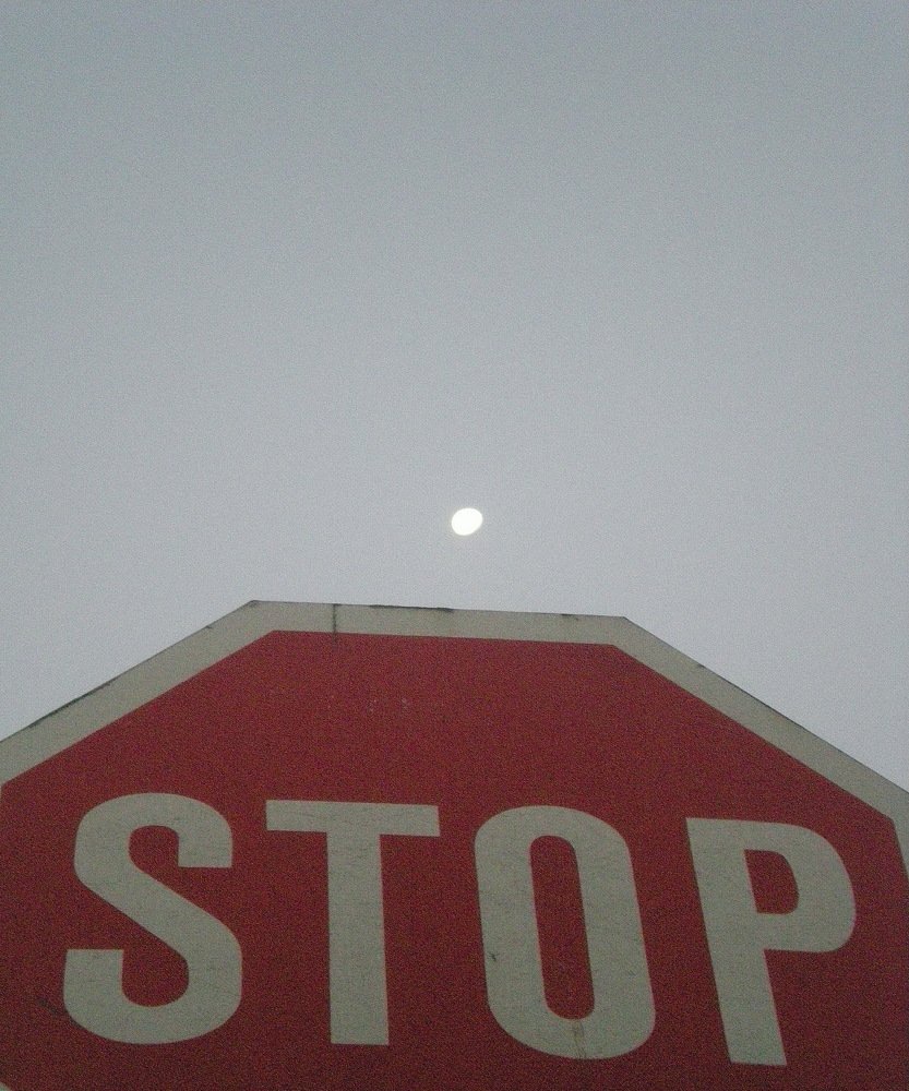 Photograph by ВИТАЛИЙ ФЕДОРЕНКО