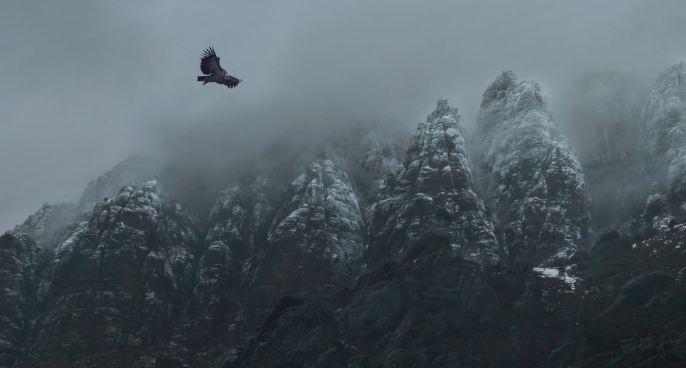 В Долине привидений