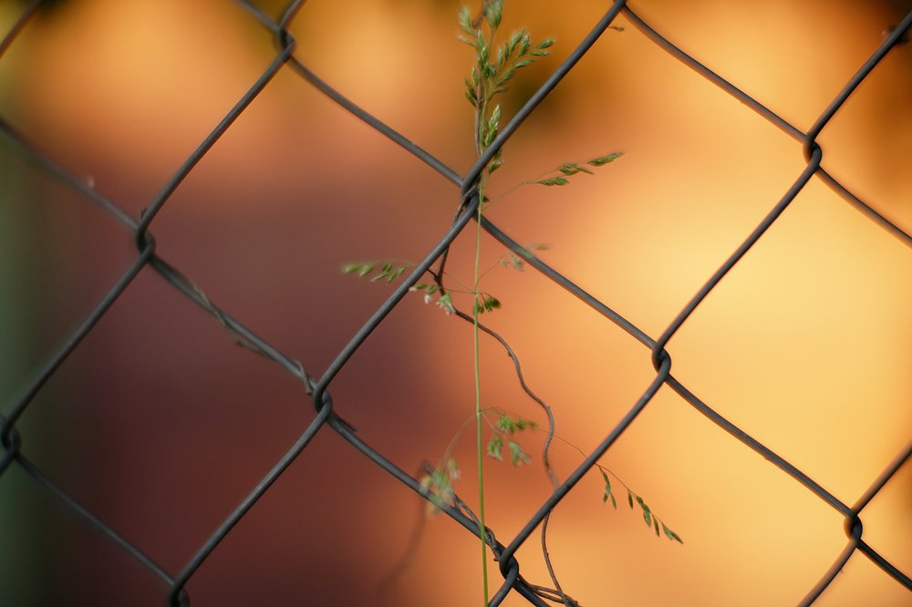 Photograph by Dzianis Mizhui