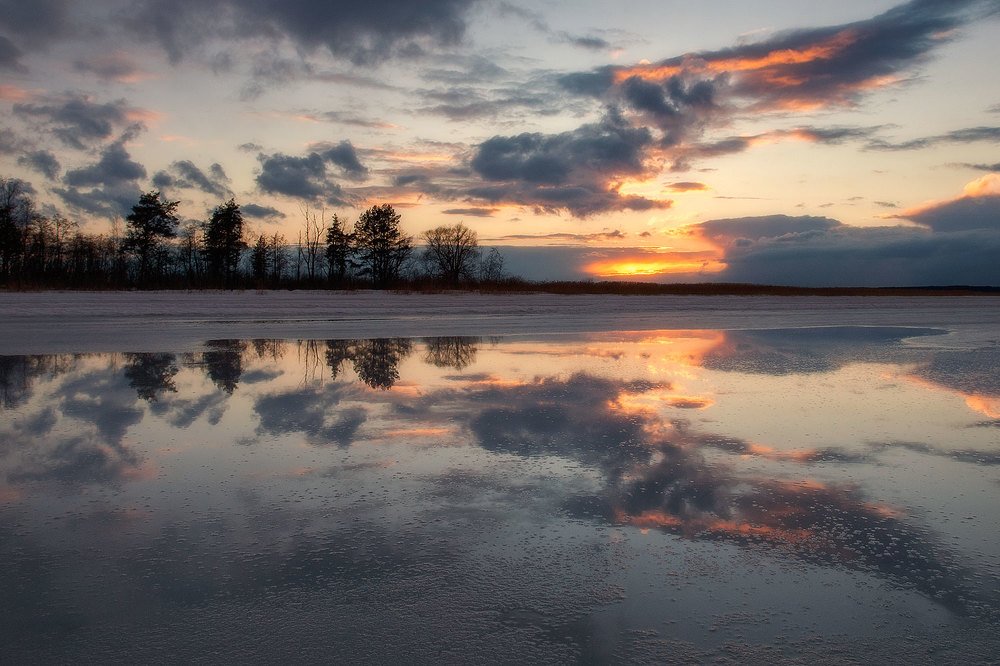 Небесная жар-птица