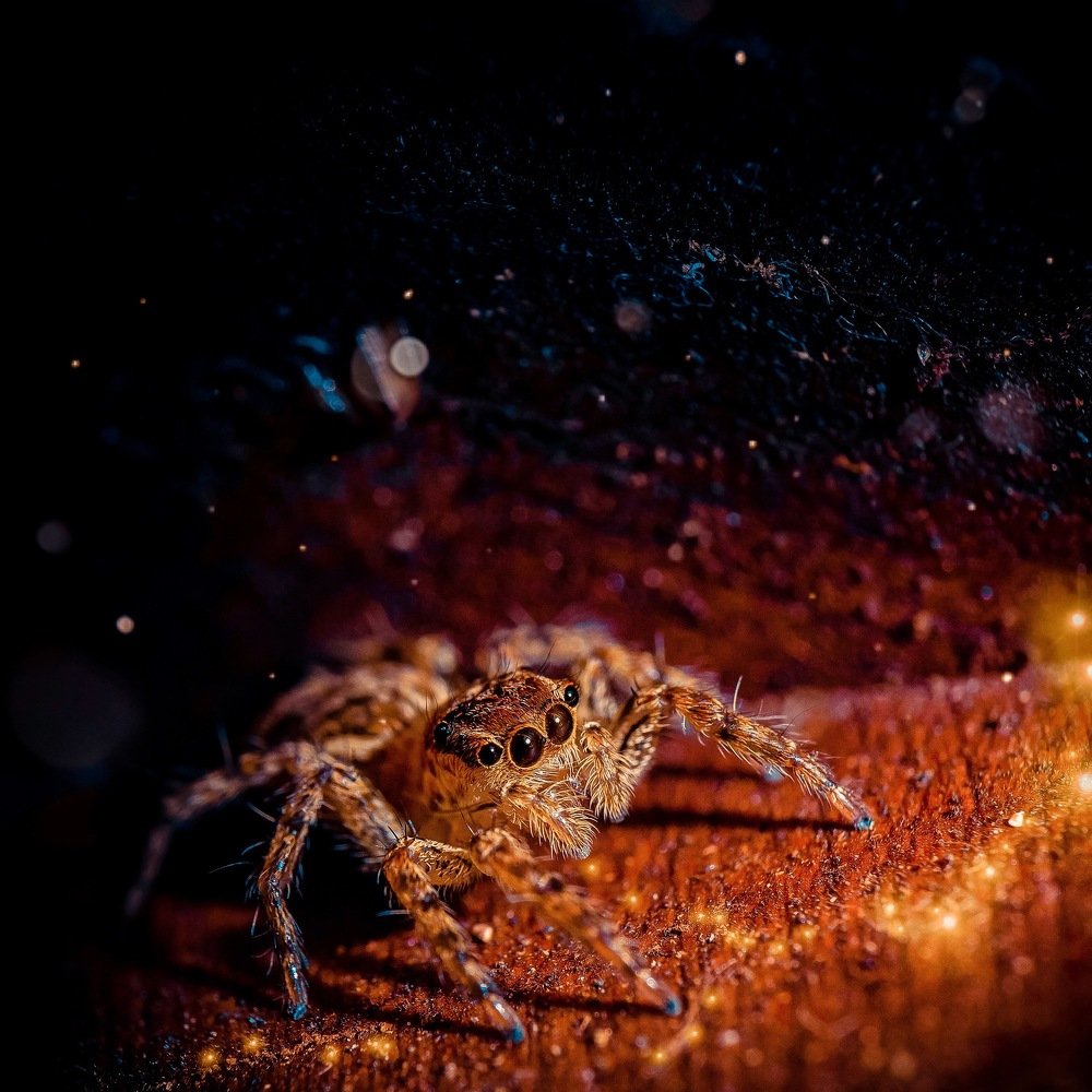 Photograph by Dolli Pogrebnaya