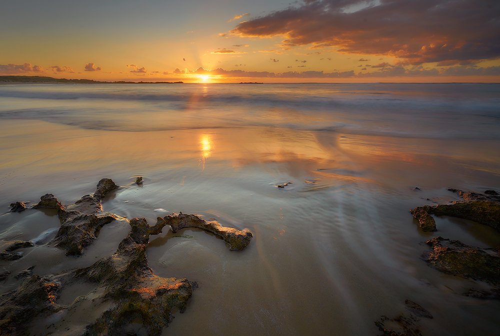 Photograph by 