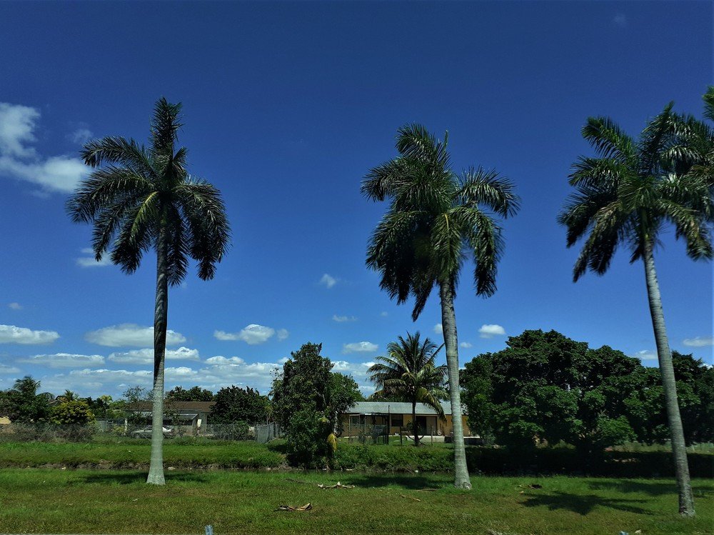 NATURE