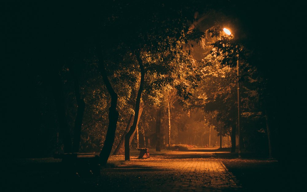 Photograph by Алена Емельянцева