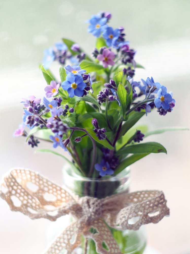 Голубой цвет. Нежные незабудки