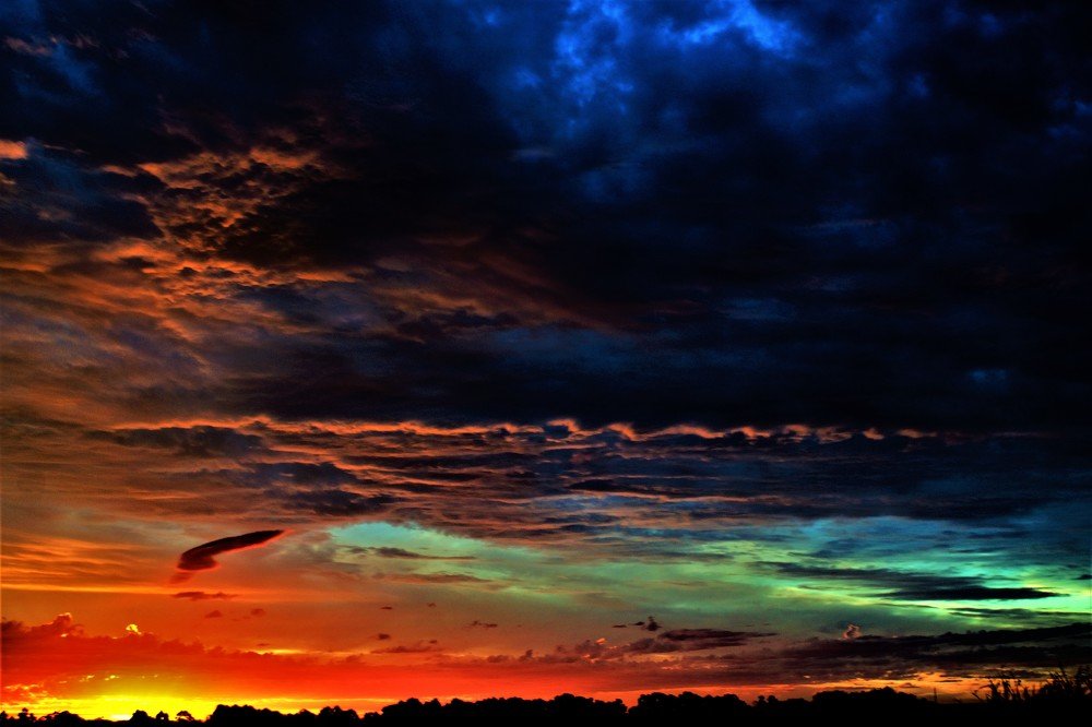 ALIEN SUNSET
